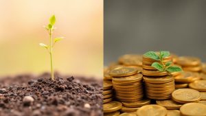 Creștere rapidă versus profit imediat