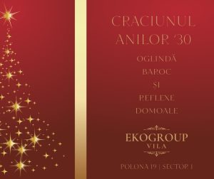 Eko Group Vila: Crăciunul Anilor ’30 – O Călătorie în Timpul Eleganței Interbelice